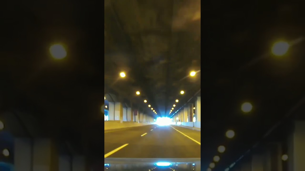 Holding On - Magnofield