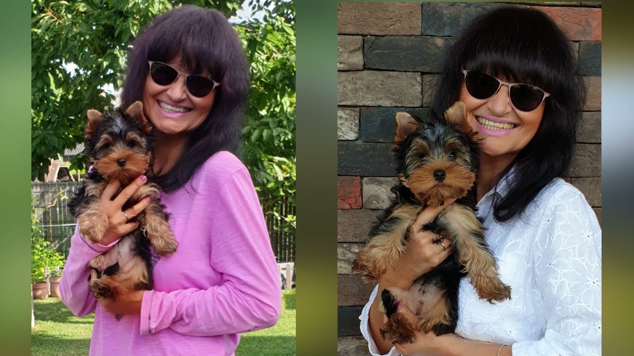 Oddaja &Scaron;tiri tačke   julij 2022   Nova maskota TV oddaje &Scaron;tiri tačke   Loti Love