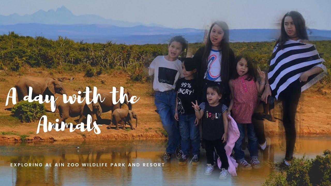 A Day With The Animals in Al Ain Zoo | K6OnTheGo