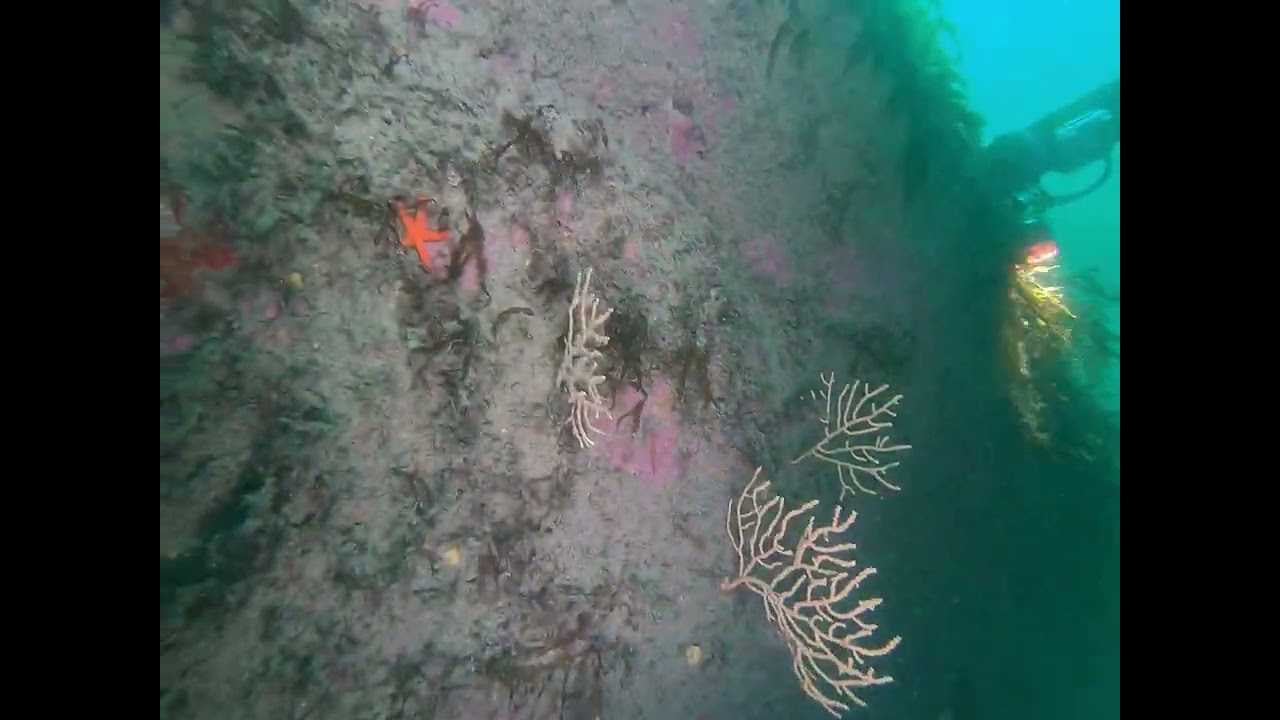 Atlantis Club Plounanach 14 09 25 La cale SNSM