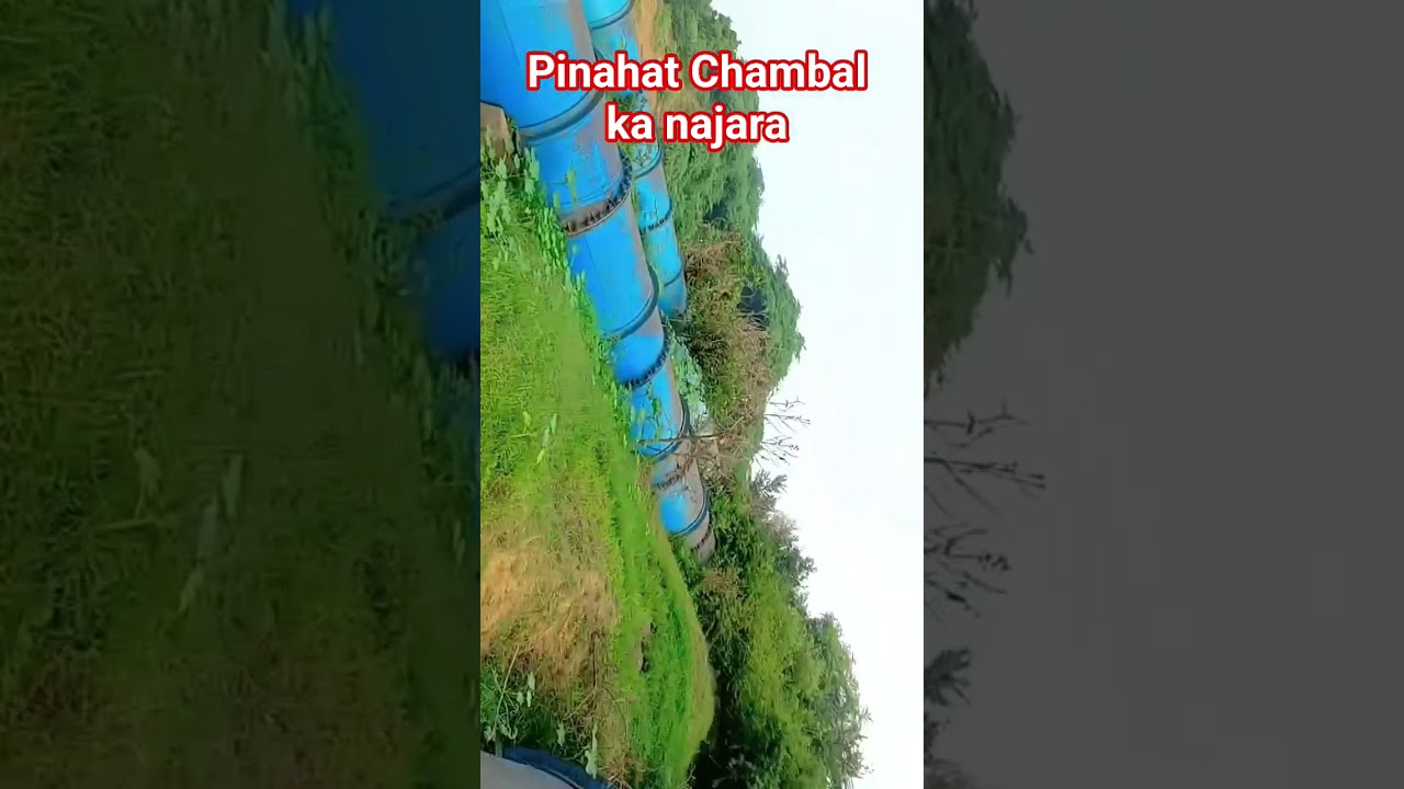 #news #chambal #pinahat