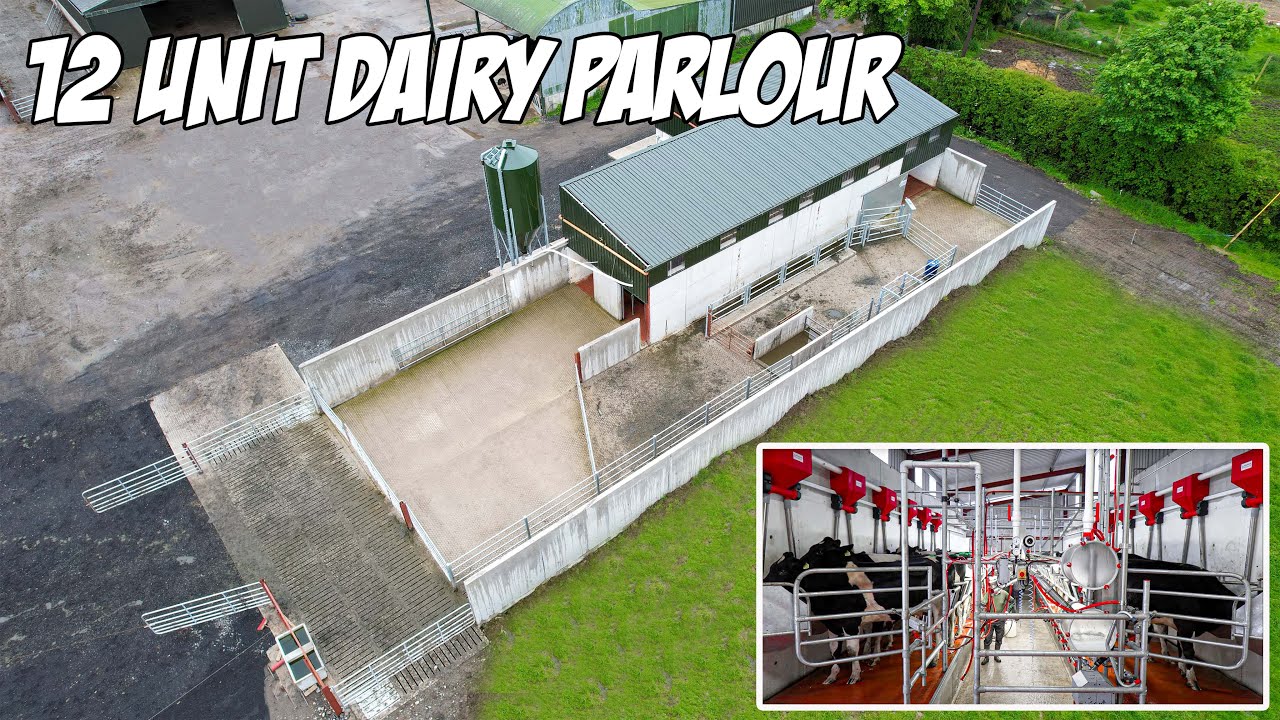 Pearson Milking Technology 12 Unit Dairy Parlour with Manual Drafting