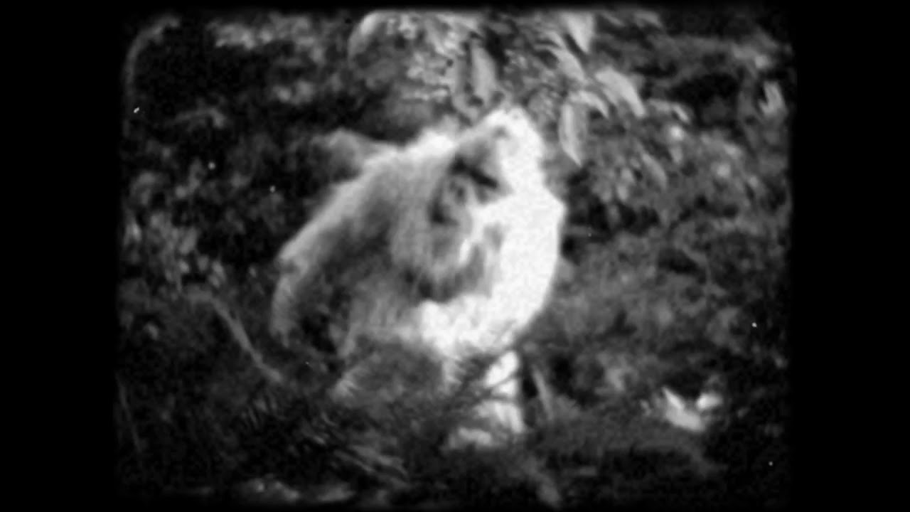 KONGAGI TEST