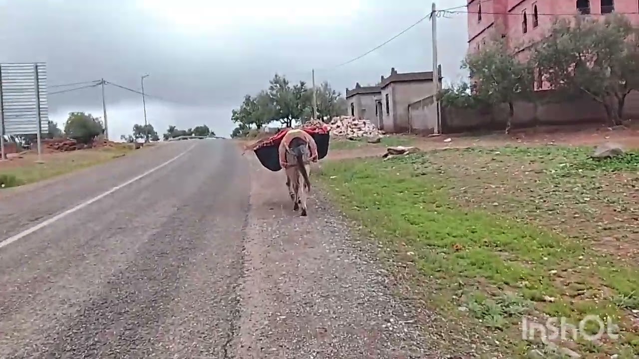 فلوك جديد اجيو دوزو معايا هاد نهار 