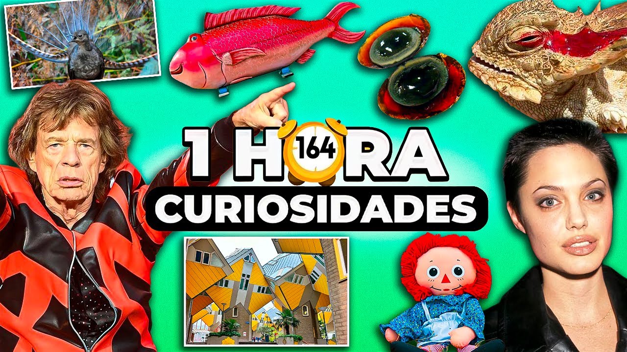 1 HORA De DATOS CURIOSOS y CURIOSIDADES ASOMBROSAS Del Mundo