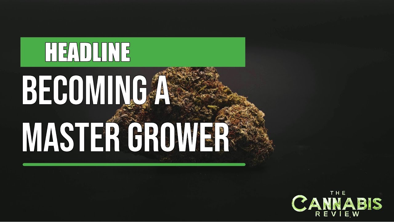 BECOMING A MASTER GROWER | Toby Shillito (Master Grower at Hellenic Dynamics)