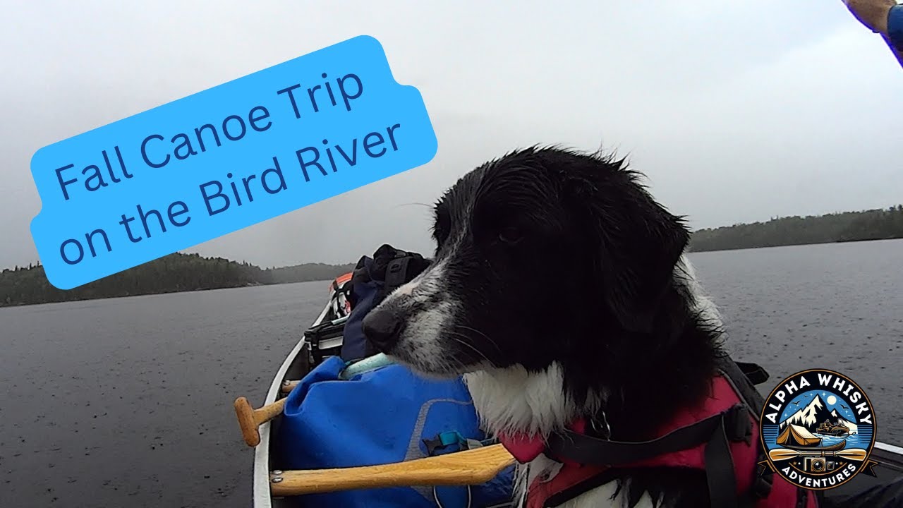 Fall Canoe trip with Sophie