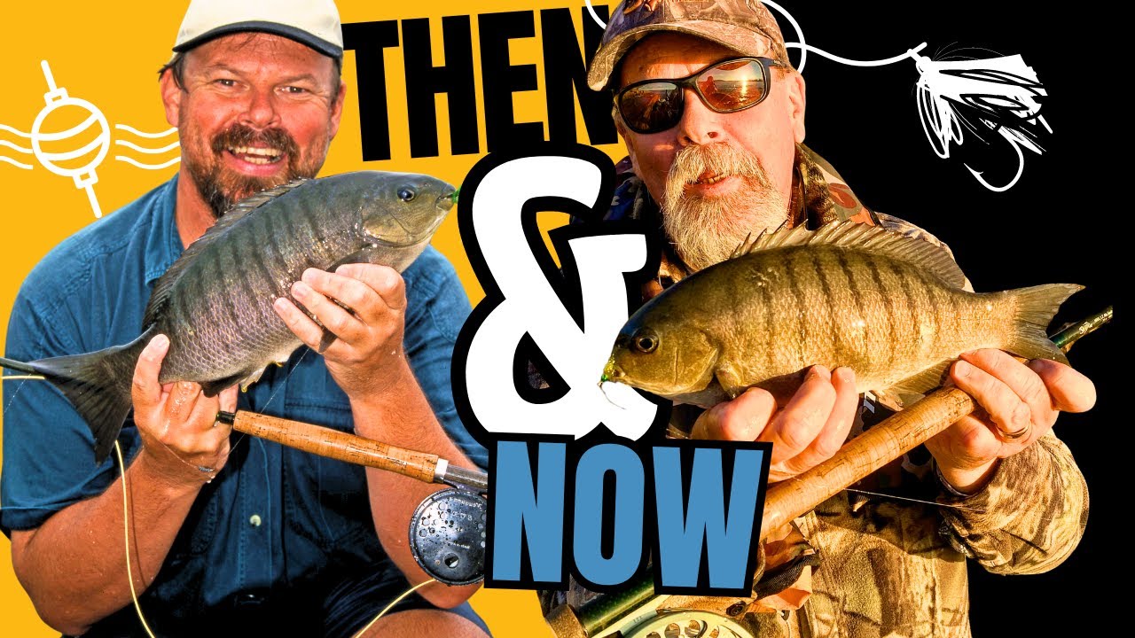 Catching Blackfish on Flies is WAY Easier Than You Think!