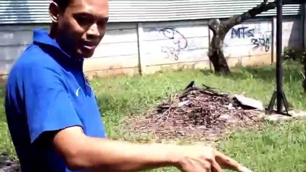 Ecolife - Pompa Air 12 Meter Tenaga Surya - Cara Kerja dan Pemasangan