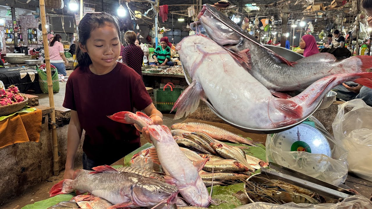 Market show: Buy 2 catfish and cooking - Delicious catfish recipes - Cooking with Sreypich