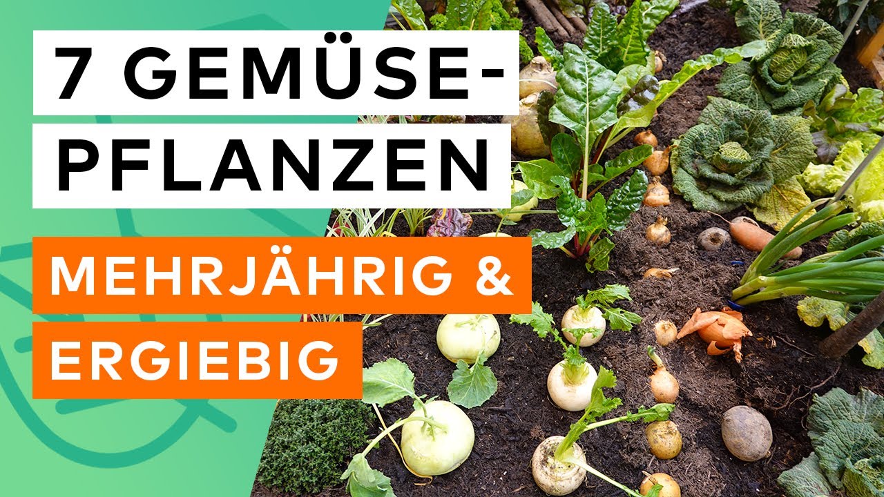 7 mehrj&auml;hrige Gem&uuml;sepflanzen, die du nur einmal pflanzen musst