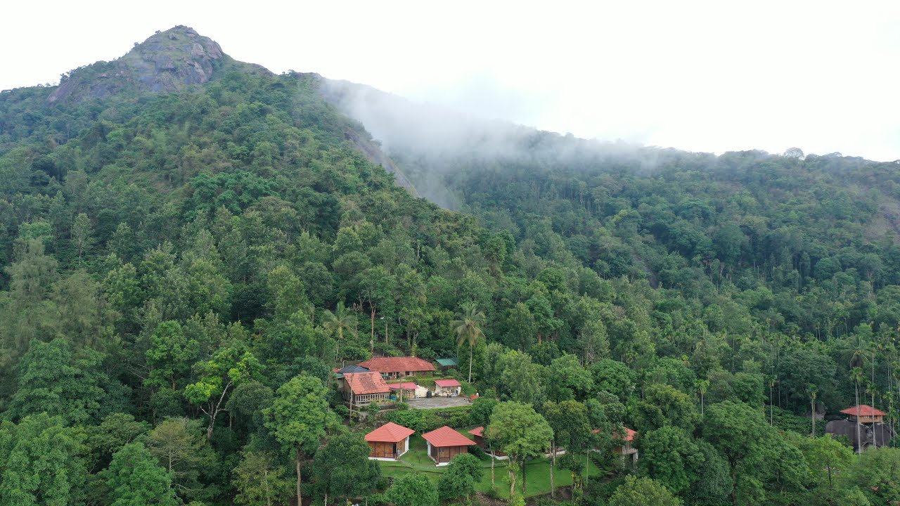 Avadale Wayanad | Nestled in the hills of Muttil