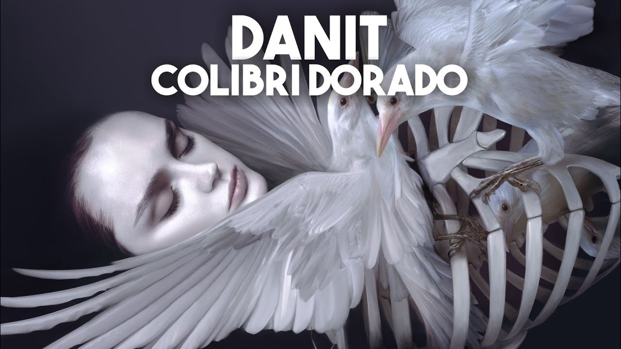 Danit - Colibri Dorado | T&uuml;rk&ccedil;e &Ccedil;eviri