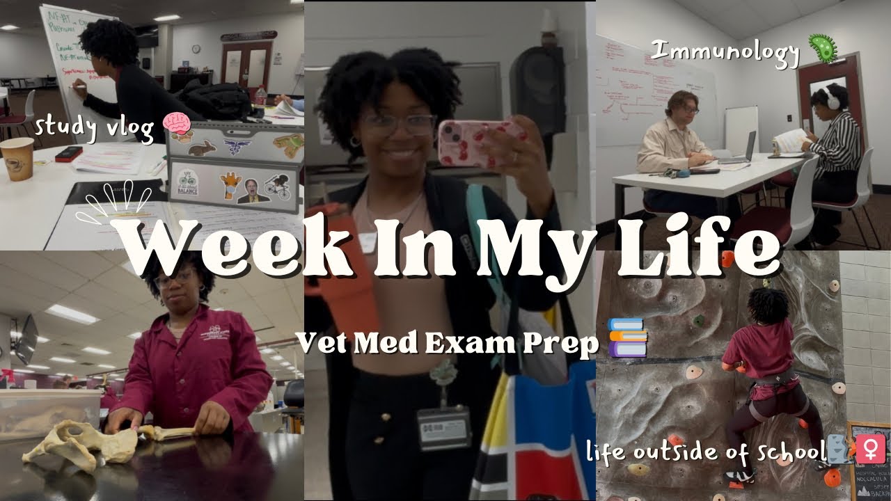 prepare for vet med exams w/ me 📚| 1st Year Veterinary Student 🩺 | study vlog + week in my life🧋