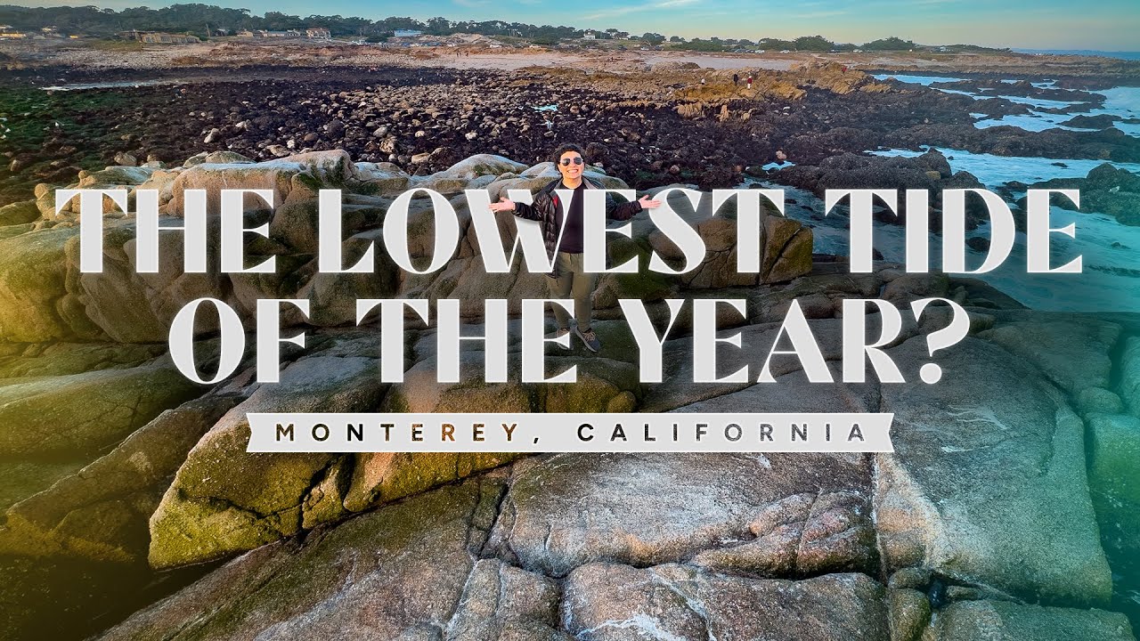 🐚Exploring the Great Tide Pools of Monterey Bay