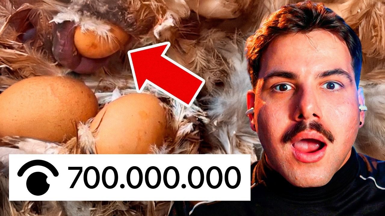 os vídeos MAIS ASSISTIDOS da internet atualmente