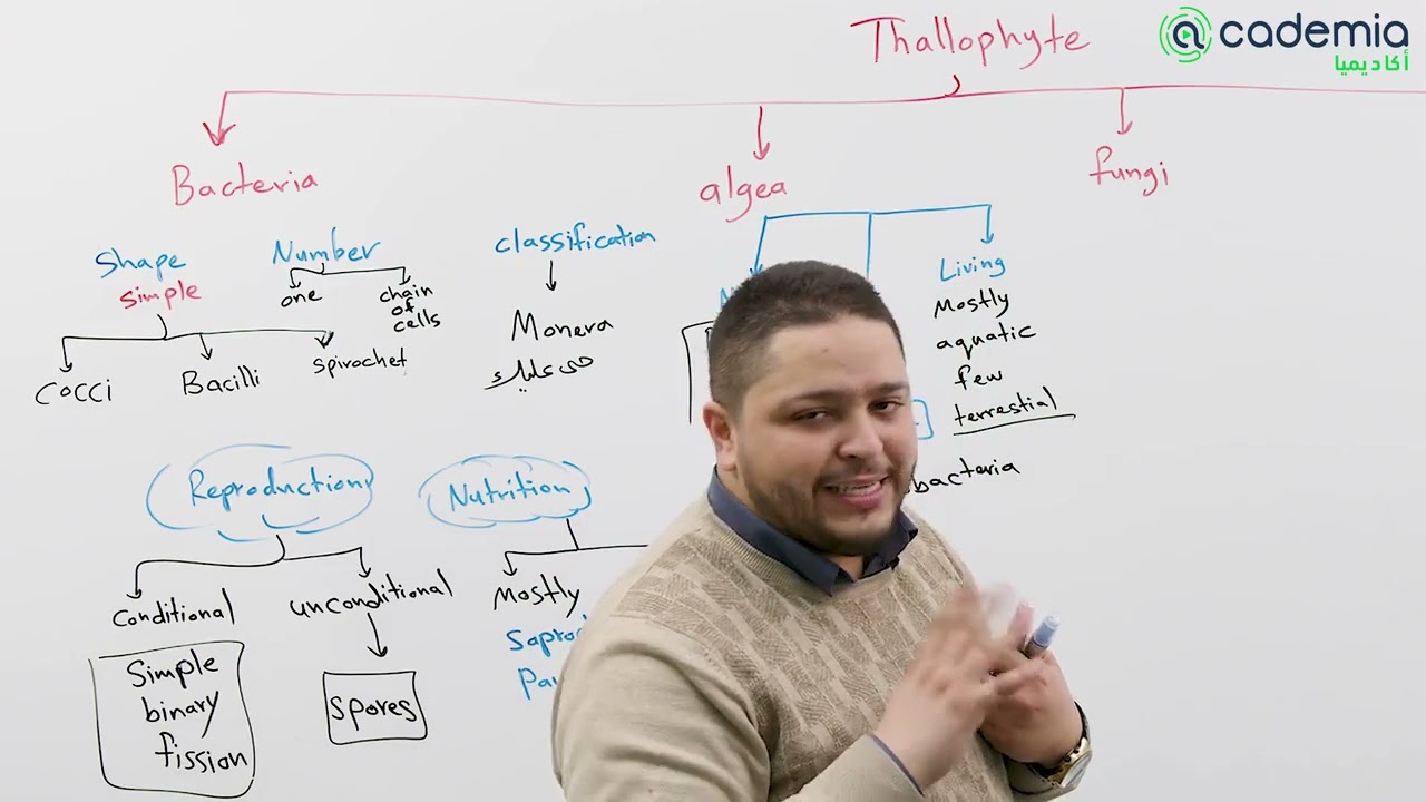 Thallophyte