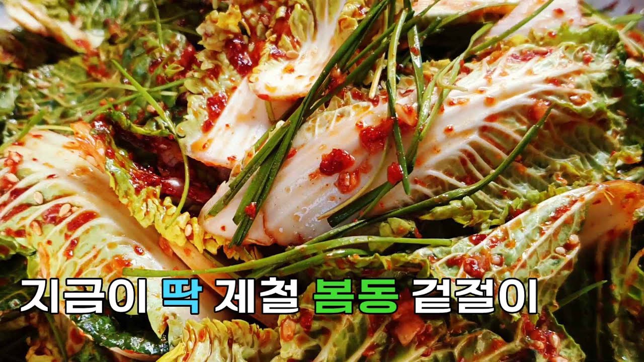 지금이 딱 제철 봄동 겉절이 | 신선하고 아삭한 봄동 겉절이 #봄동겉절이