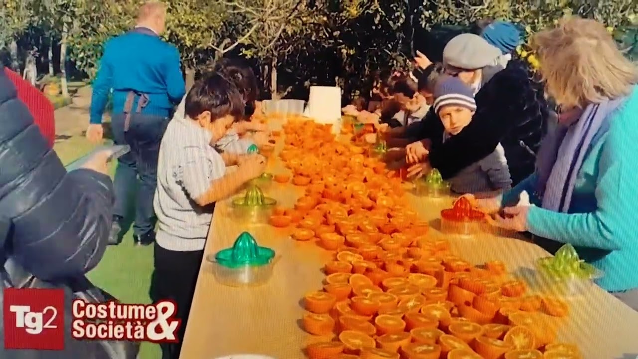 I limoni di Sorrento e Vinaccia su Costume e Societa'