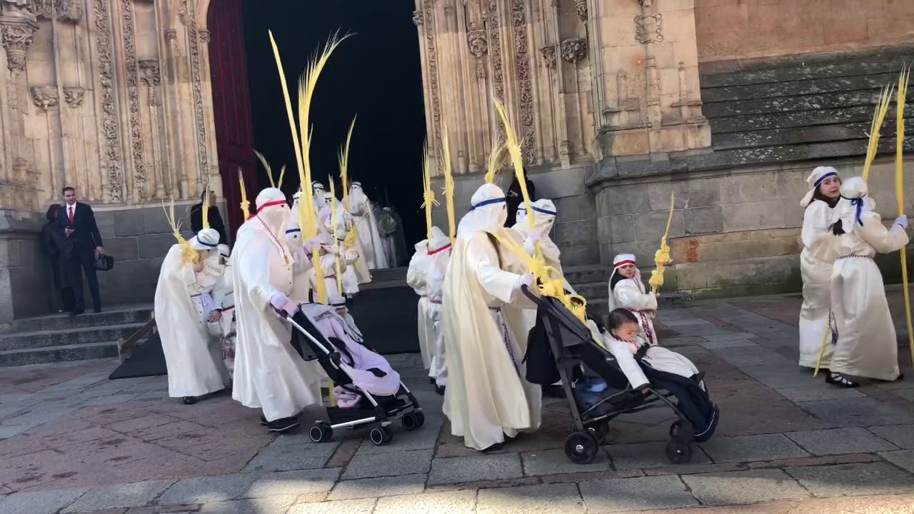 Procesión de Jesús Amigo de los Niños - Borriquilla 2018