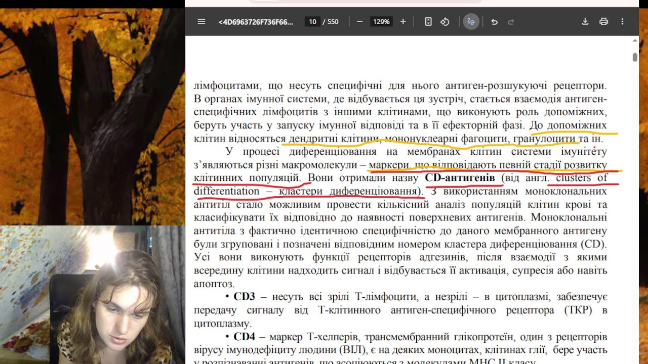 study with me № 435    6.11.2025)