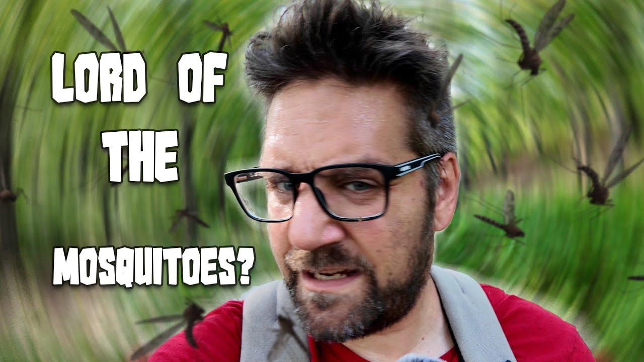 Swarms of mosquitoes attack my personal space in this photo VLOG. Canon R7 RF 100-500 4.5-7.1