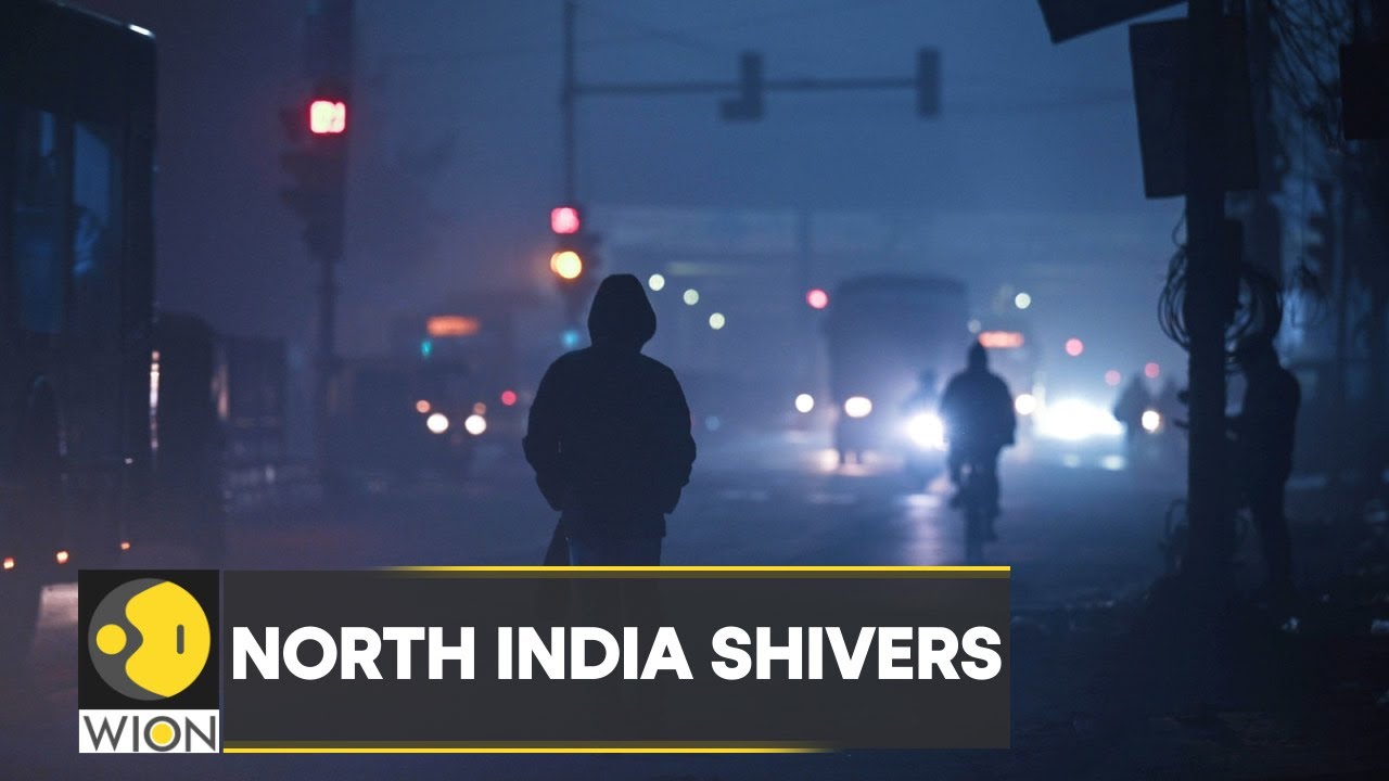 WION Climate Tracker: North India to experience cold wave till January 18 | Latest News | Top News