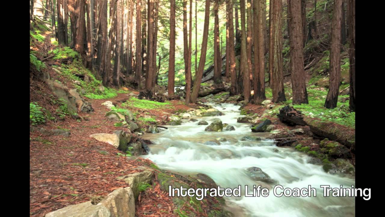 Integrated Life Coach Training | SuraCenter.com