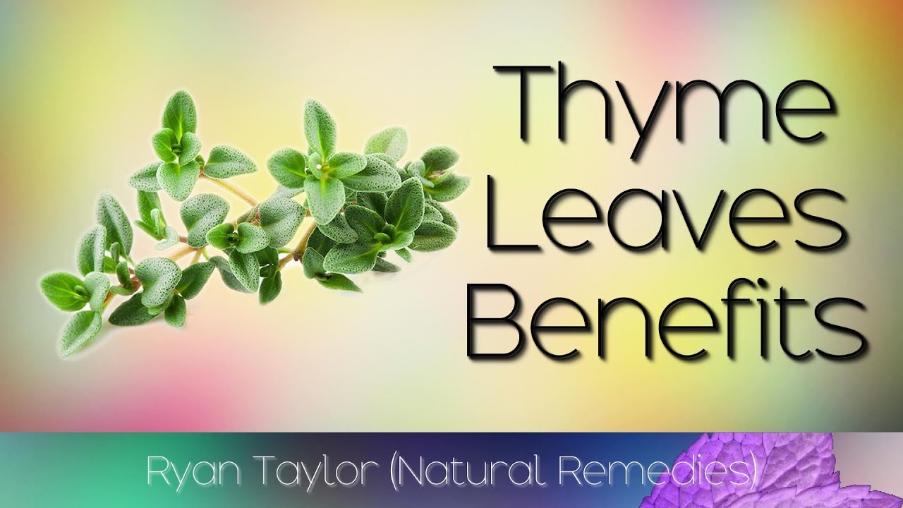 Thyme Leaves: Benefits and Uses