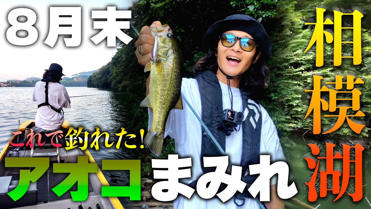 相模湖はアオコの中にスイッシャーを投げろ！！