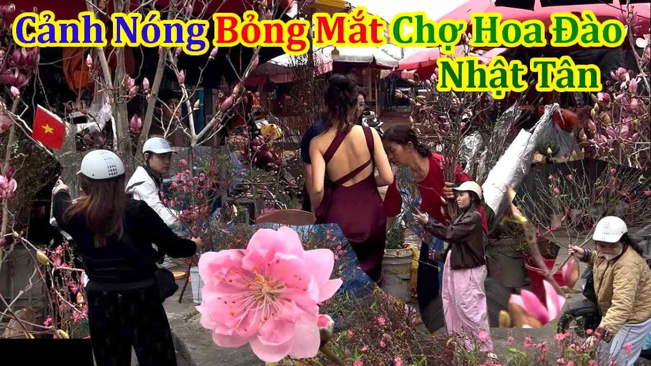 Toàn Cảnh Nỏng Bỏng Mắt Chợ Hoa Đào Nhật Tân Tây Hồ Hà Nội