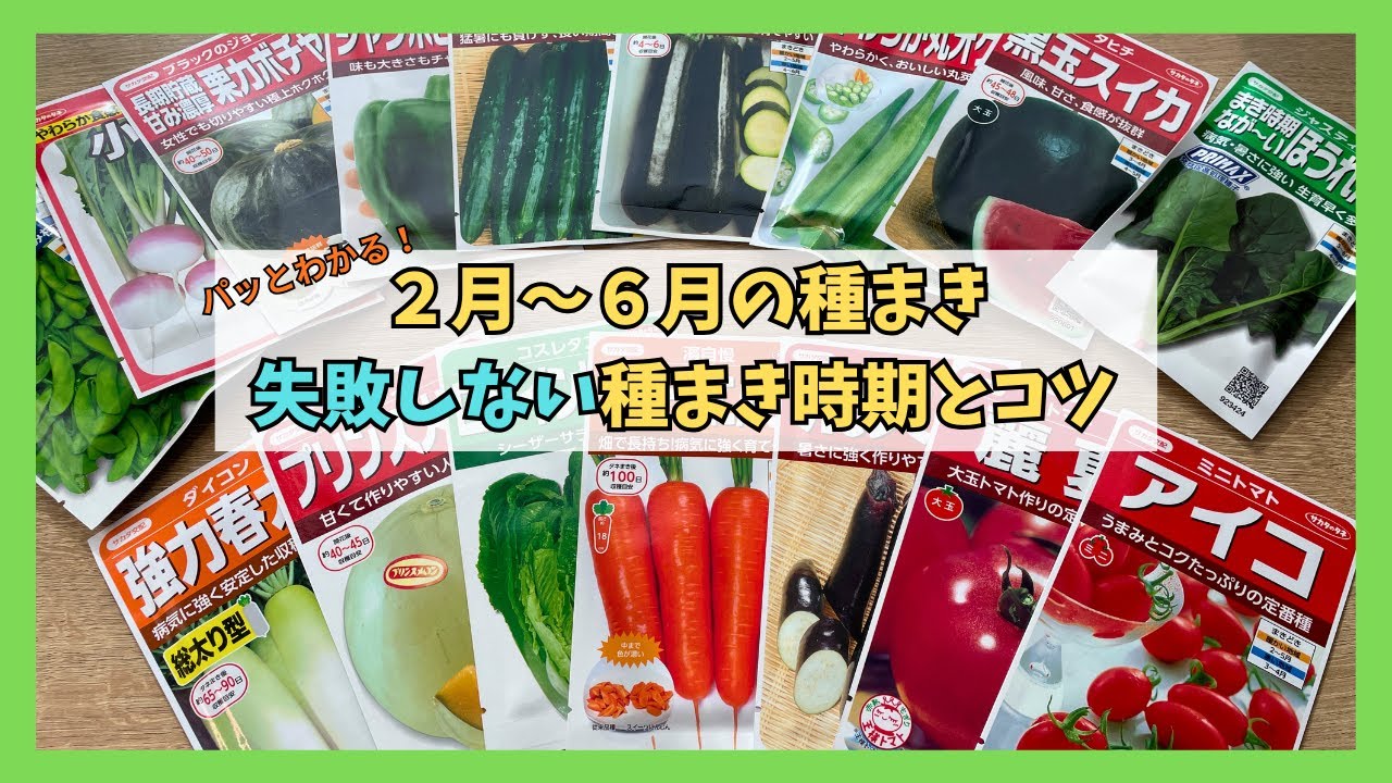 【保存版】2〜6月に種まきできる野菜一覧｜種をまく時期と失敗しないコツ【家庭菜園】