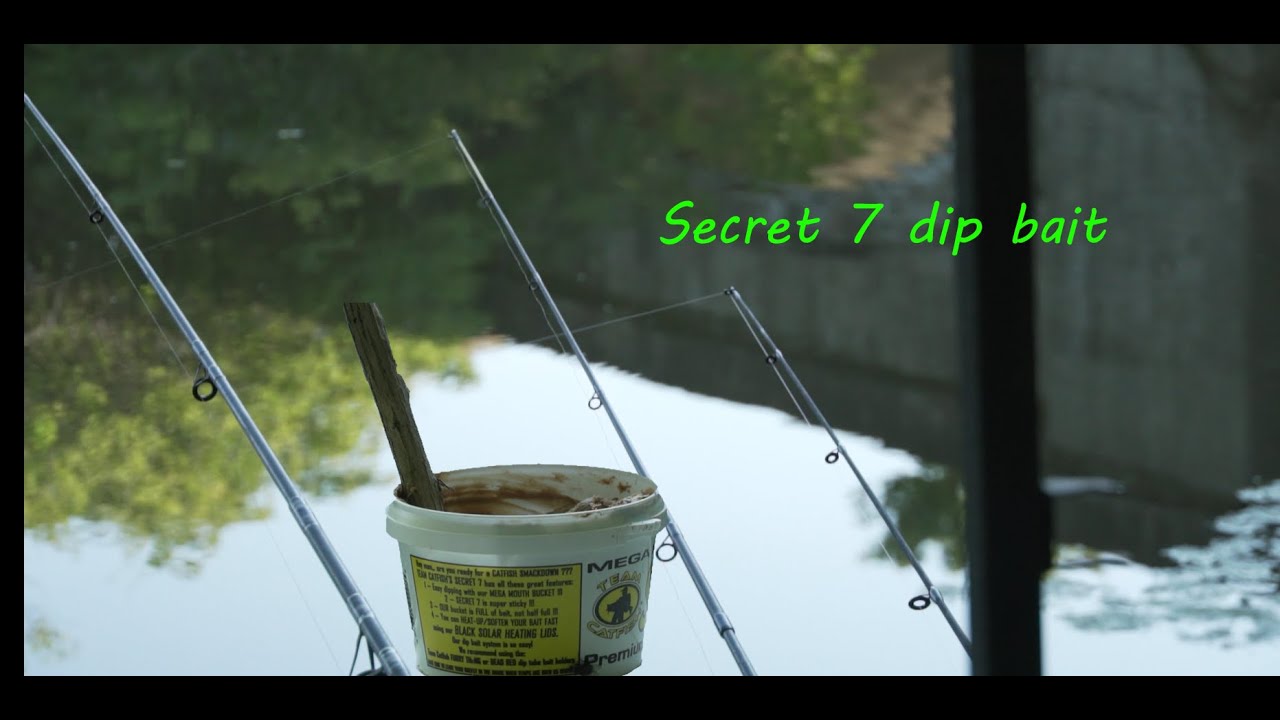 catching catfish with secret 7