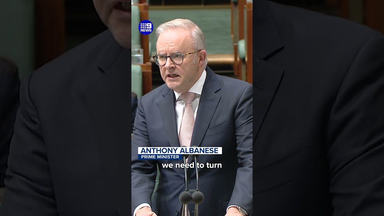 Anthony Albanese defends Herzog visit | 9 News Australia