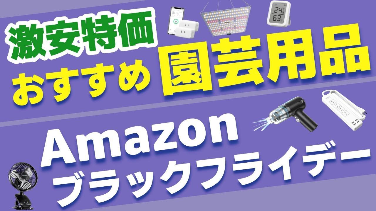 【Amazonブラックフライデー2024】植物園芸用品が超安い！植物育成ライトや小型扇風機、加湿器、保温ヒーターマットがお得！アガベ｜ビカクシダ｜塊根植物｜多肉植物｜実生苗｜エアプランツ｜アクアリウム