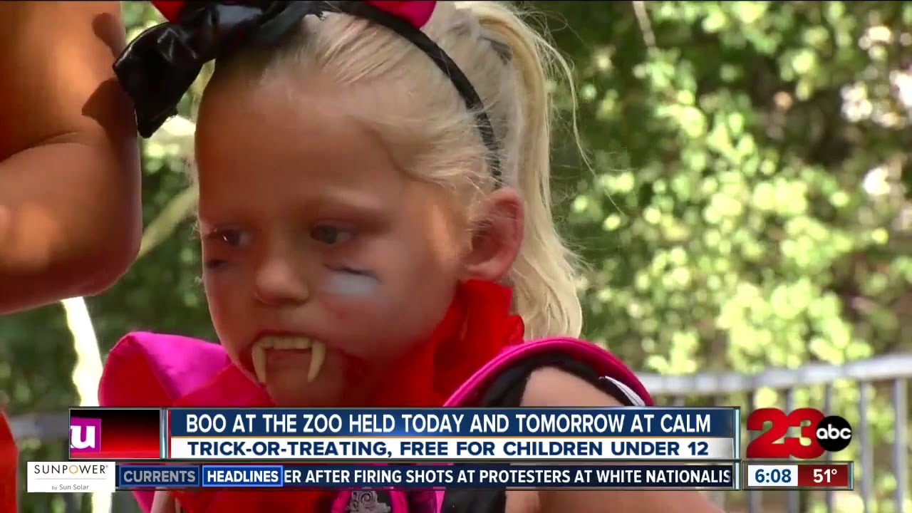 Boo at the Zoo event held at Calm this weekend for trick-or-treating around the zoo