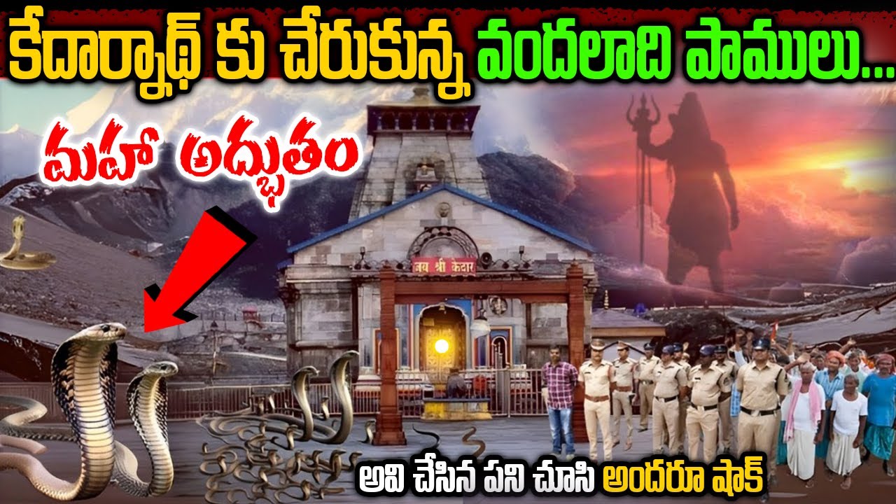 అకస్మాత్తుగా కేదార్నాథ్ కు చేరుకున్న వందలాది నాగుపాముల గుంపు | మహా అద్భుతం | #kedarnath #templefacts