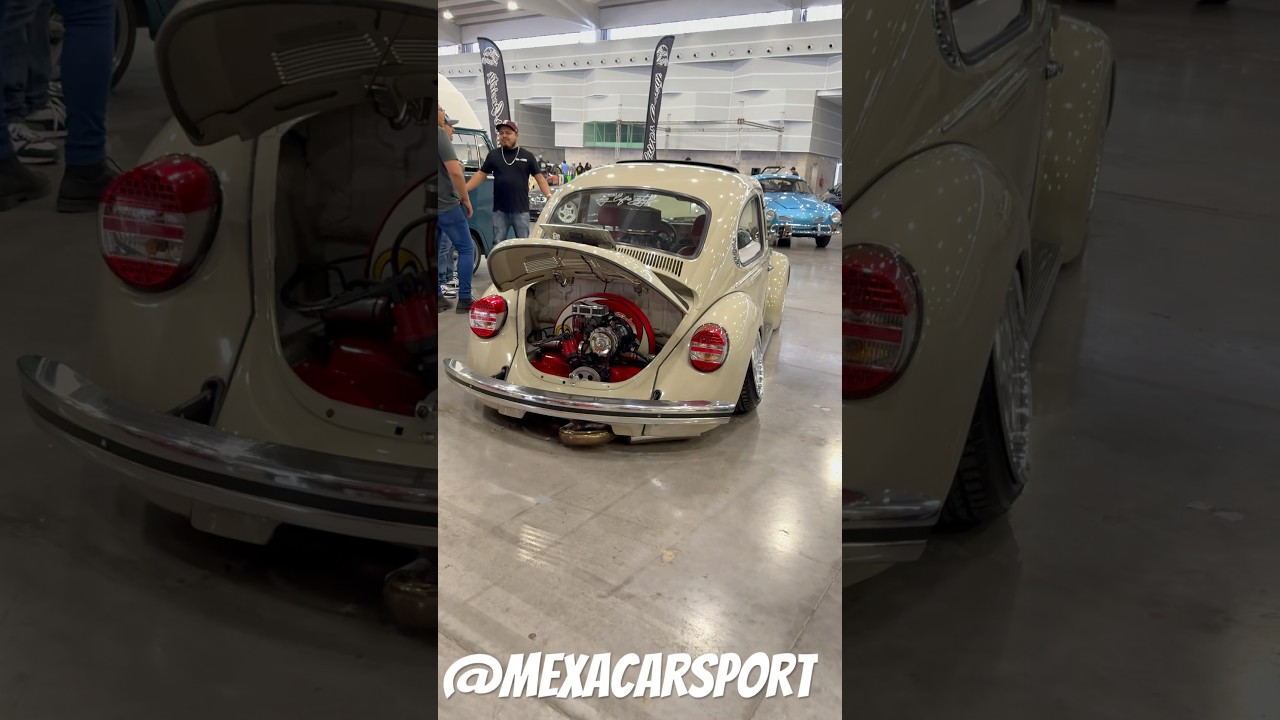 Vw Vocho #vocho #vochomx #fuscabrasil #escarabajo #vwsedan #volkswagen #Vwlifestyle #vwoval #porsche