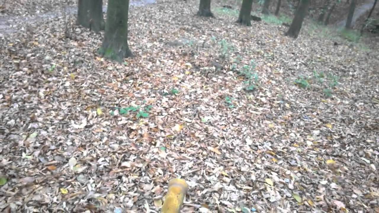 DH/FR Jabłonna kolejne latanie