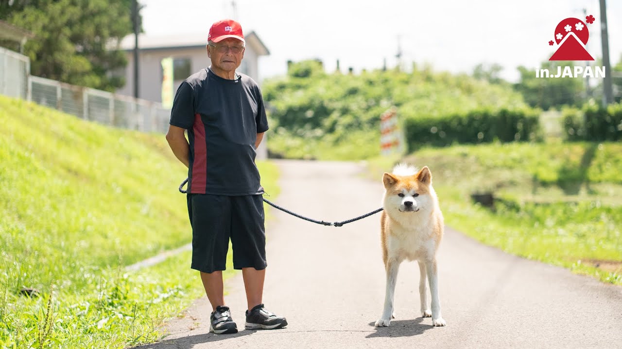 A National Monument, Akita Inu | injapanstories