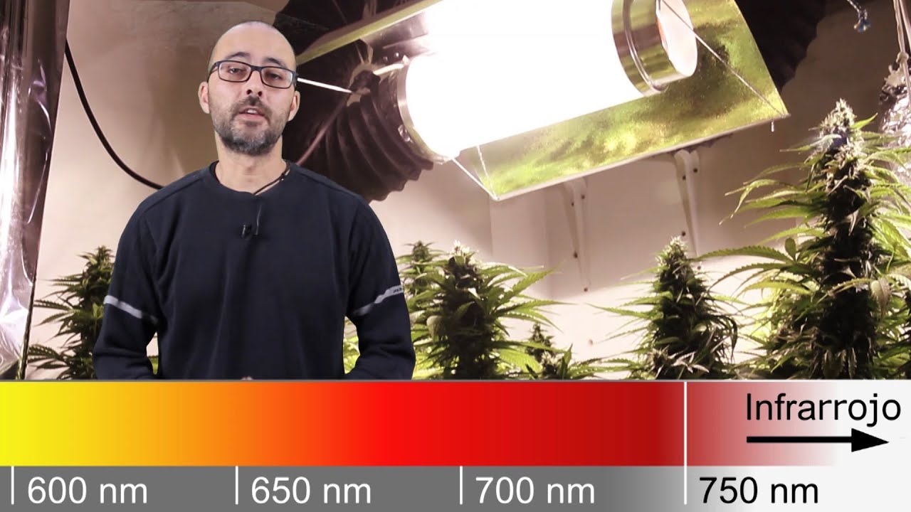 Paso a Paso #24 ILUMINACION ARTIFICIAL