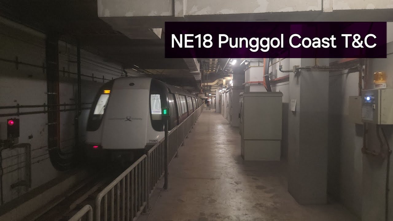 (Sunday NE18 Punggol Coast intergration test/T&C)[SBST] C751A, C751AR and C751C NEL at NE17 Punggol