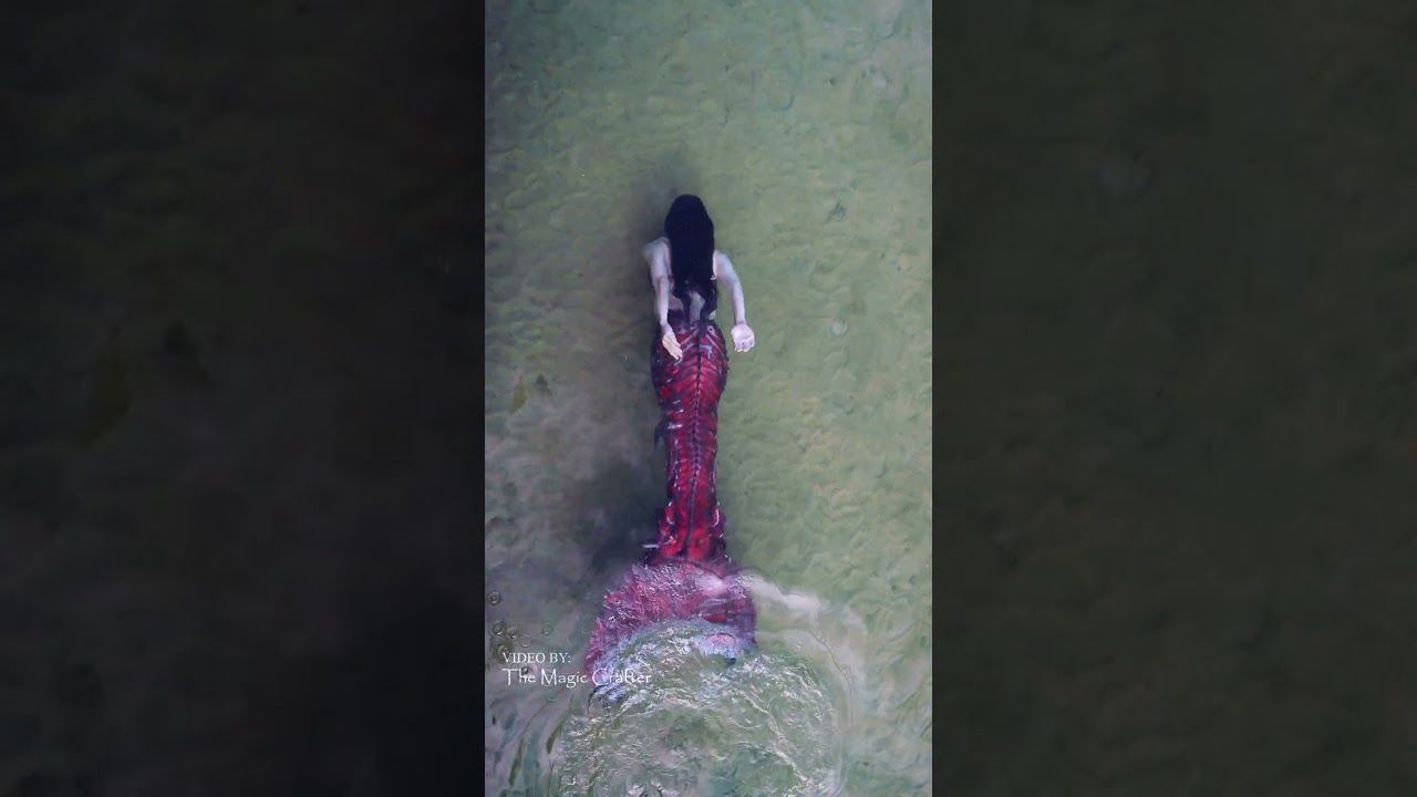 BLOOD RED MERMAID SWIMMING IN THE LAKE #shorts
