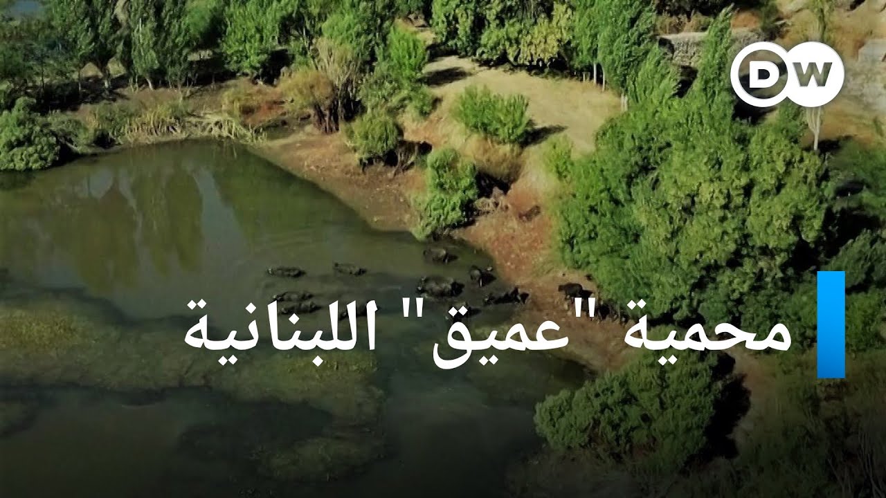 ما هي محميّة 