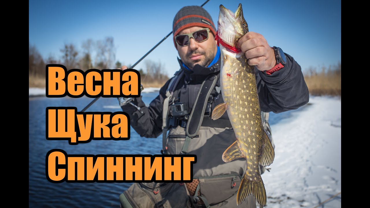 Поиски весенней щуки с берега в каналах Днепра и ловля на ультралайтовый спиннинг микроджигом.