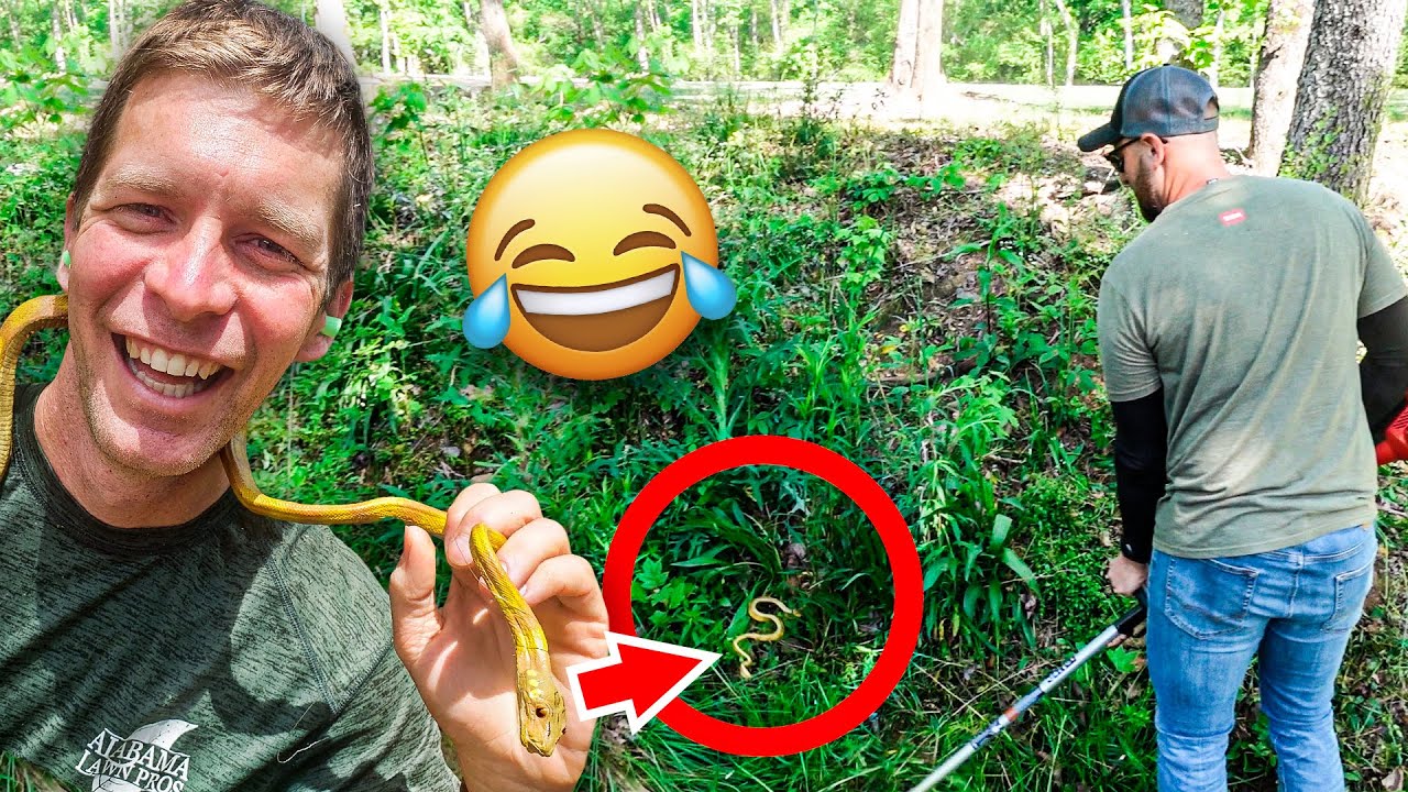 Fake Snake Terrifies Man while Cutting Tall Grass