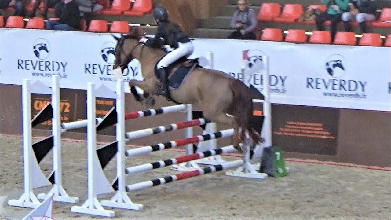 ■ 24/02/2019 Tournée des As Le Mans - AS2 Grand Prix - Nieland's Joris - CSO - Clara Maitre