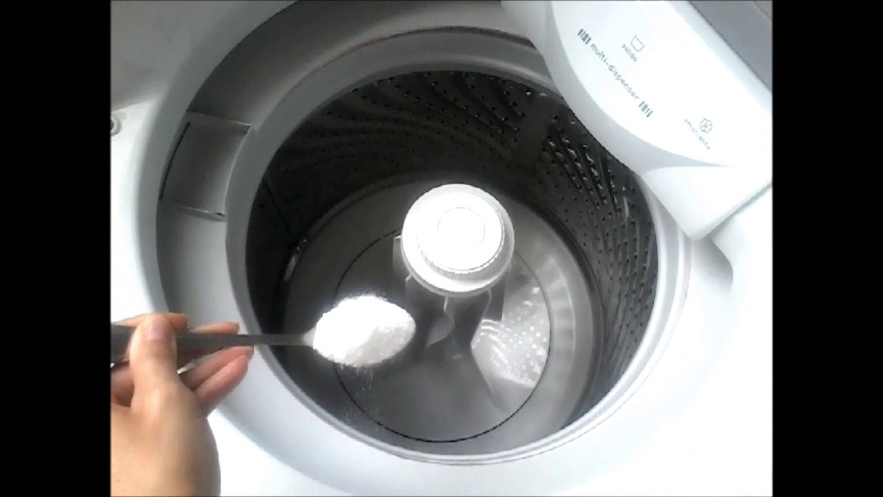 Como usar o sal em favor da sua casa e elimine ovos de pulga e muito mais