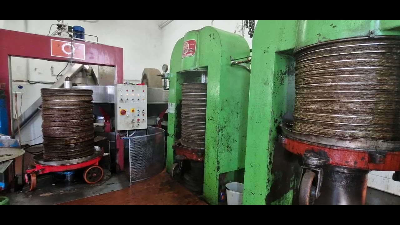 inizia la molitura delle olive di San Pietro 3q.