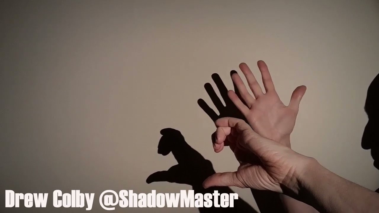 Monkey Hand Shadow Tutorial